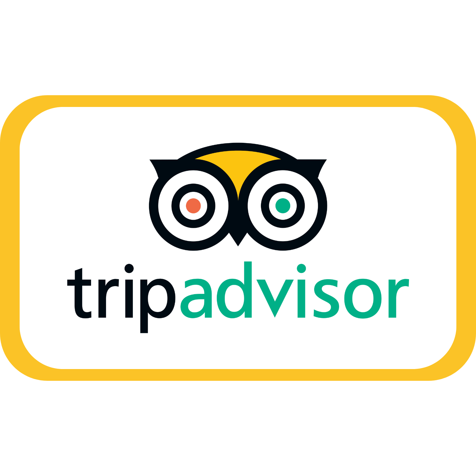 TripAdvisor Website